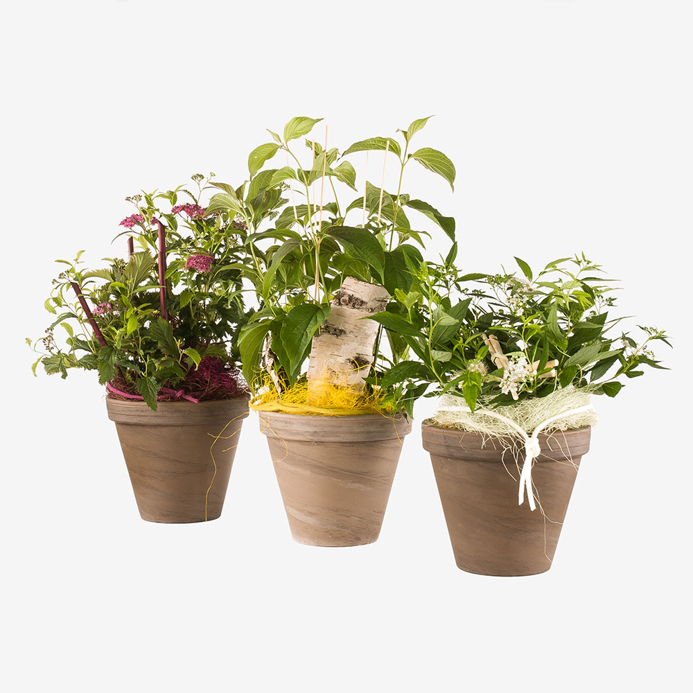tischdeko leihen rent a plant de tischdekoration mieten in hamburg tischdeko leihen rent a plant de tischdekoration mieten in hamburg